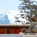 Crocus *