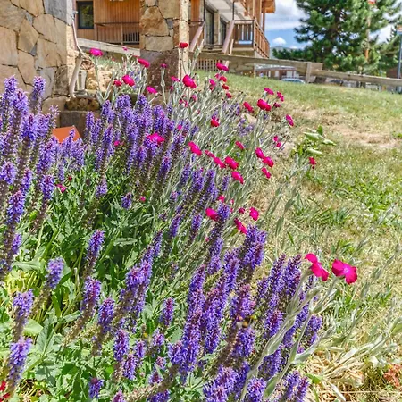 Crocus Apartman *