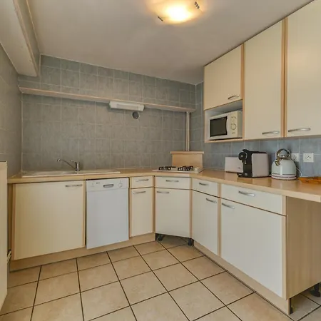 Appartement Crocus Huez